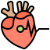 Cardiac Cardiac
