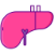 Liver Function Test Liver Function Test